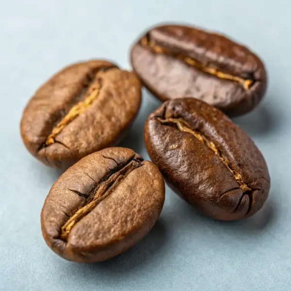 Brazilian Santos Coffee Beans